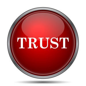 Trust icon. Internet button on white background.